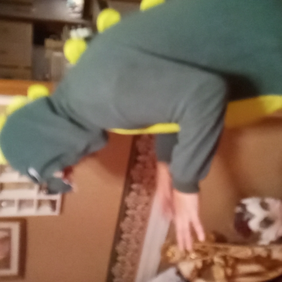 Tyrannosaurus Rex pajamas or Halloween costume - Picture 5 of 17